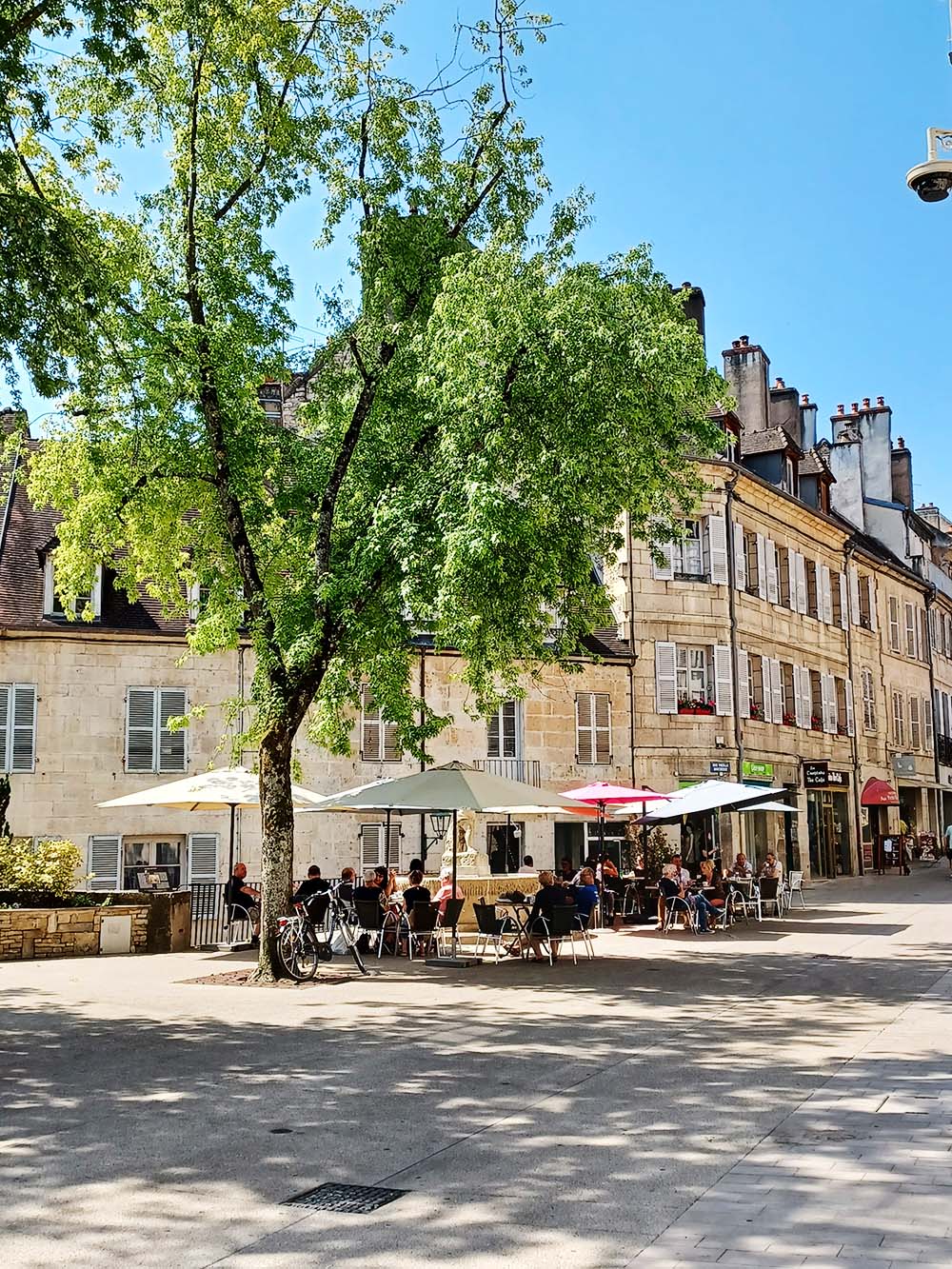 Dole blomstertorv