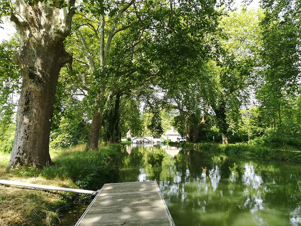 Dole og de smukke kanaler